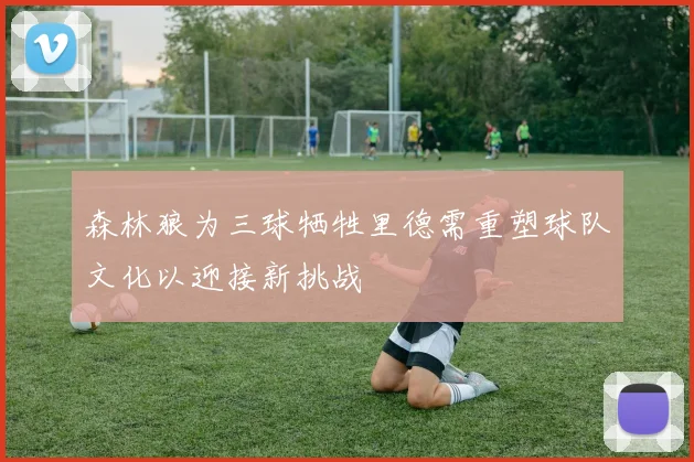 森林狼为三球牺牲里德需重塑球队文化以迎接新挑战